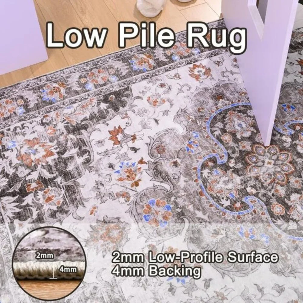 4x6 Washable Area Rug, Soft Low Pile Non-Slip Vintage Carpet for Home & Office